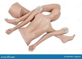 Mannequins Body Parts